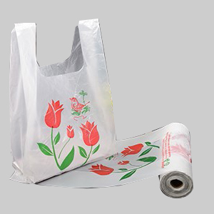 Tanishtha Bags, Faridabad - Manufacturer,Wholesale Supplier / Wholesaler of  D Cut Bags and Loop Handle Bag in Haryana, India