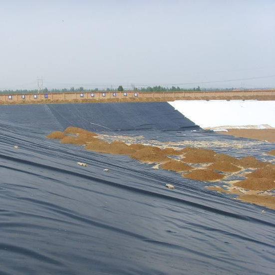 Why Use LDPE Geomembranes For Aquaculture Instead Of Other Liners