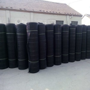 Wholesale Chinese Factory HDPE Geonet Sheet