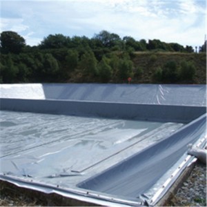 Hot Sale Waterproof LDPE Geomembrane for Fish Farm