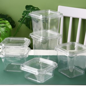 Square Salad Container Series