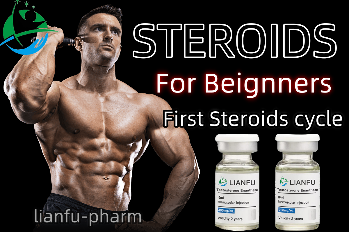 What Are the Best Steroids cycle for Beginners bulking and cutting? 