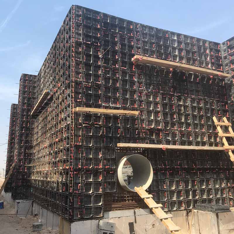 Manufacturer of Concrete Shuttering Plywood - Plastic Wall Formwork – Lianggong