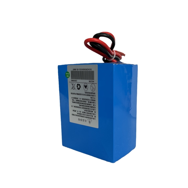 Batterie Lithium 24V 100 Ah - Smart - Swiss-Green
