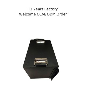 Factory wholesale LCD Dual USB Power Station Lithium Phosphate LiFePO4 24V 48V 50ah 100ah 200ah Battery for Forklift Agv Vehicle
