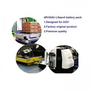 China Factory for Factory 2000 cycles 48V 24ah LiFePO4 Battery ho an'ny Agv/Solar LED Light/Mini EV/Golf Trolley