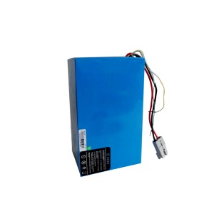 48V 24Ah Electric LiFePO4 Battery Pack For Motorcycle Scootor Ebike