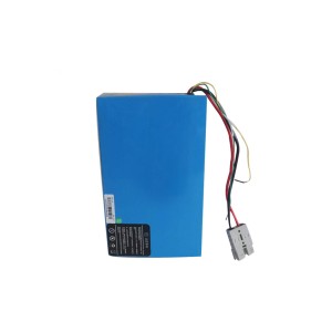 Customized 48V 24Ah LiFePO4 battery Rechargeable for AGV Battery