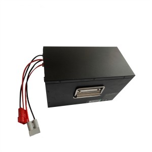 Custom Battery 48V 24Ah Lithium Battery Pack for Light Monitoring Toy
