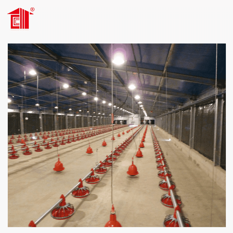 Steel Structure Building Material Poultry Broiler