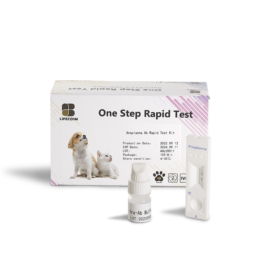Factory wholesale Herpes Rapid Test Kit - Lifecosm  Leishmania Ab Test Kit for pet test – Lifecosm