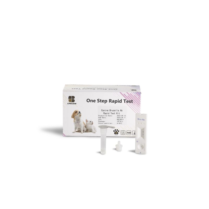Good quality Giardia Test Kit Human - Lifecosm Brucella Ab Test Kit veterinary diagnostic test  – Lifecosm