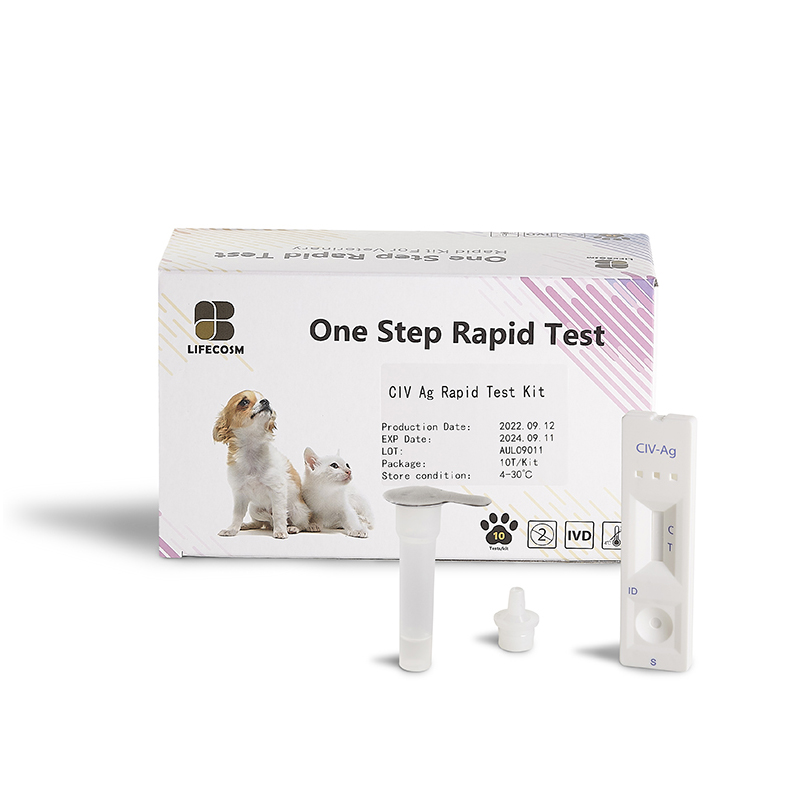 Canine flu test kit