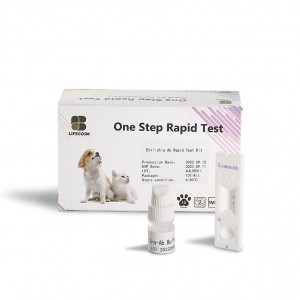 Reasonable price Rapid Test For Gonorrhea And Chlamydia - Lifecosm E.canis Ab Test Kit for veterinary diagnostic test  – Lifecosm
