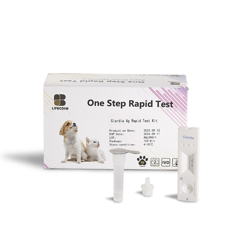 OEM Manufacturer Pharmaceutical Labs Near Me - Lifecosm Giardia Ag Test Kit for veterinary use – Lifecosm
