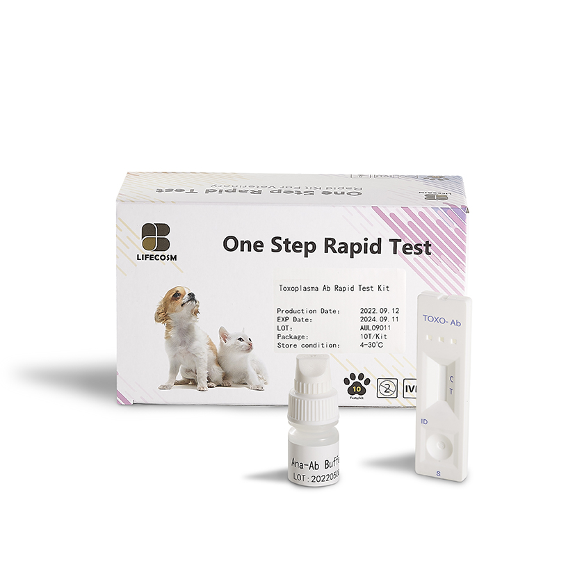 Toxoplasma test for cat