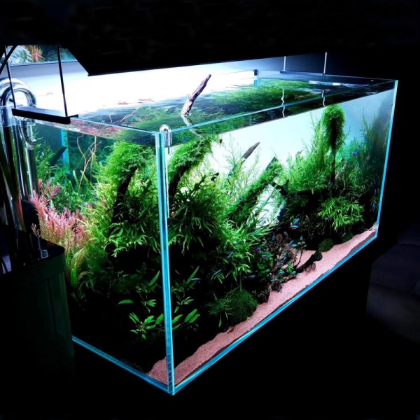 New Design Fish Tank Backlight Aquarium Custom Background Custom LED Panel Lighting