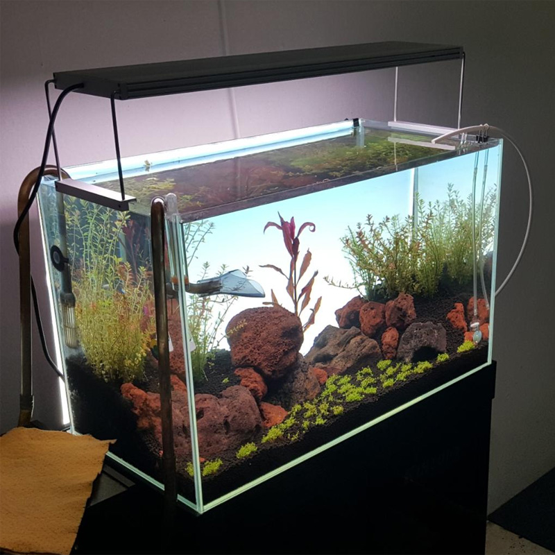 2020 High quality Led Flat Panel Light Fixture - CE ROSH Certified Hook Fish Tank Backlit LED Panel Light With No Frame – Lightman