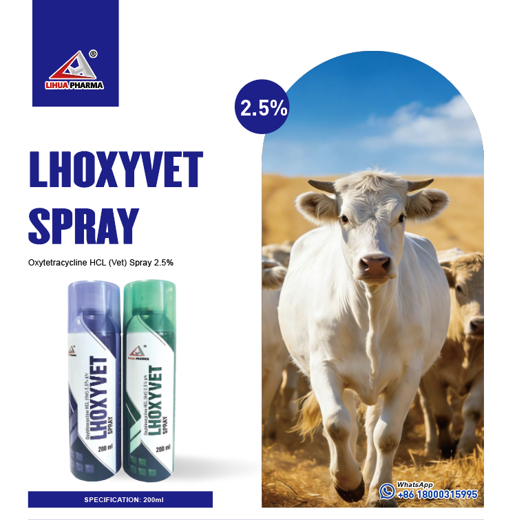 The Auxiliary Recovery Effect Of Fmd-Oxytetracycline HCL 2.5% Spray