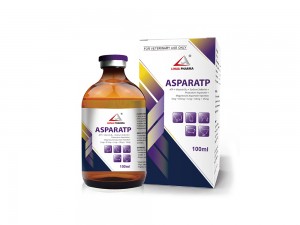 ATP + Vitamin B12 +  Sodium Selenite + Potassium Aspartate +  Magnesium Aspartate Injection  1mg + 0.5mg + 1mg + 10mg + 15mg