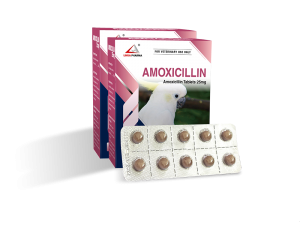 Amoxicillin Tablets 25mg