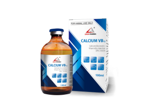Calcium VB12 Injection