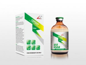 OEM manufacturer Ivermectin Injection Dosage For Goats - Cefquinome Sulfate Injection 2.5% – Lihua