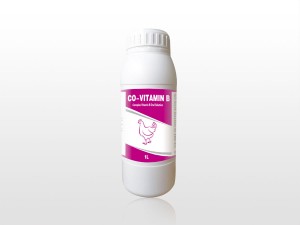 Free sample for Tylosin Tartrate - Complex Vitamin B Oral Solution – Lihua