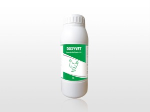 OEM Customized Multivitamin Oral Liquid Dose - Doxycycline Oral Solution 10% – Lihua