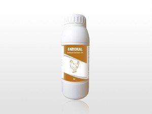 Cheap PriceList for Bromhexine Oral Liquid - Enrofloxacin Oral Solution 10% – Lihua