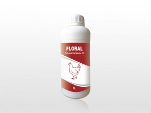 Factory source Multivitamin Oral Drug - Florfenicol Oral Solution 5% – Lihua