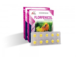 Florfenicol Tablets 20mg