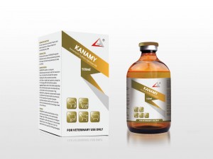 Professional Design Enrofloxacin Injection Composition - Kanamycin Sulfate Injection 5% – Lihua