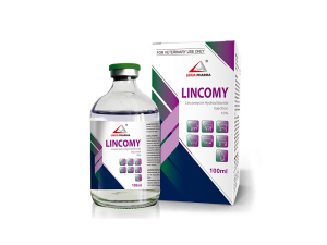 Lincomycin Hydrochloride Injection 10%