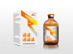 Professional China Ivermectin Injection Veterinary - Multivitamin Injection – Lihua