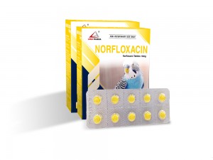 Norfloxacin Tablets 10mg