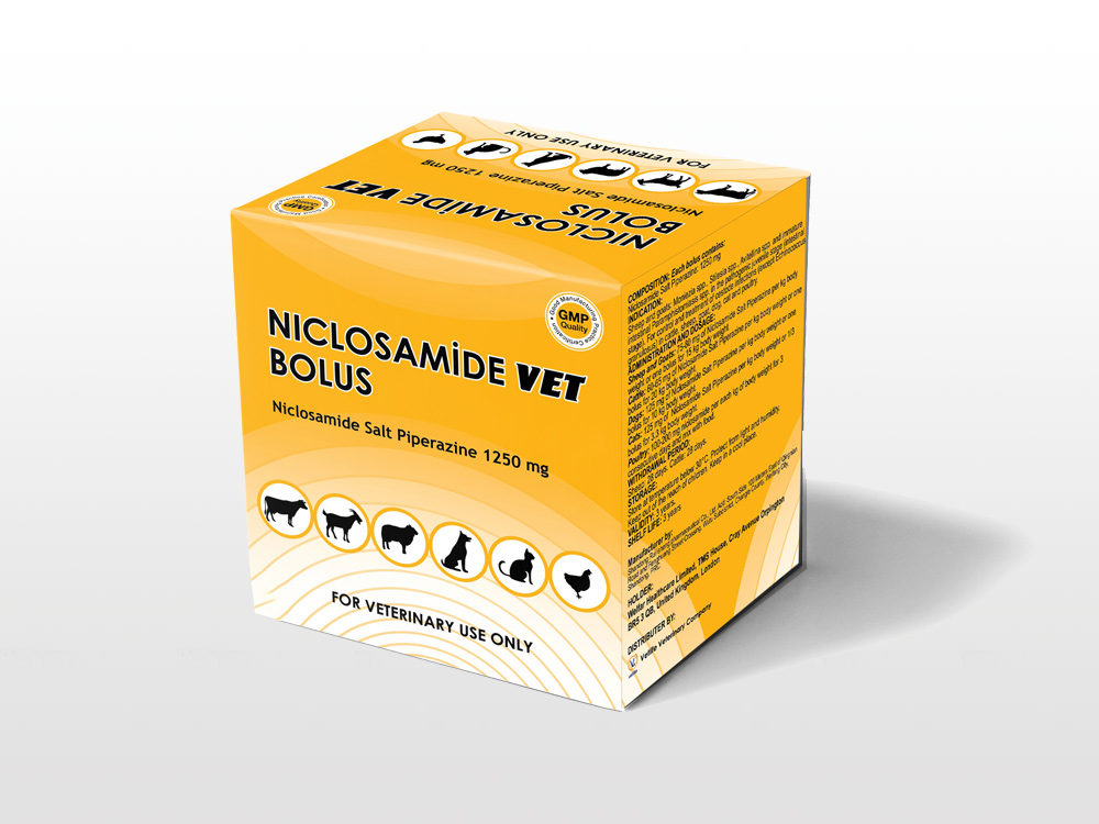 Wholesale Price Oxytetracycline Hydrochloride Bolus Uses – Niclosamide Bolus 1250 mg – Lihua