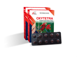 Oxytetracycline Tablets 100mg