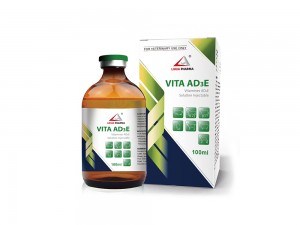 Vitamines AD3E Solution Injectable