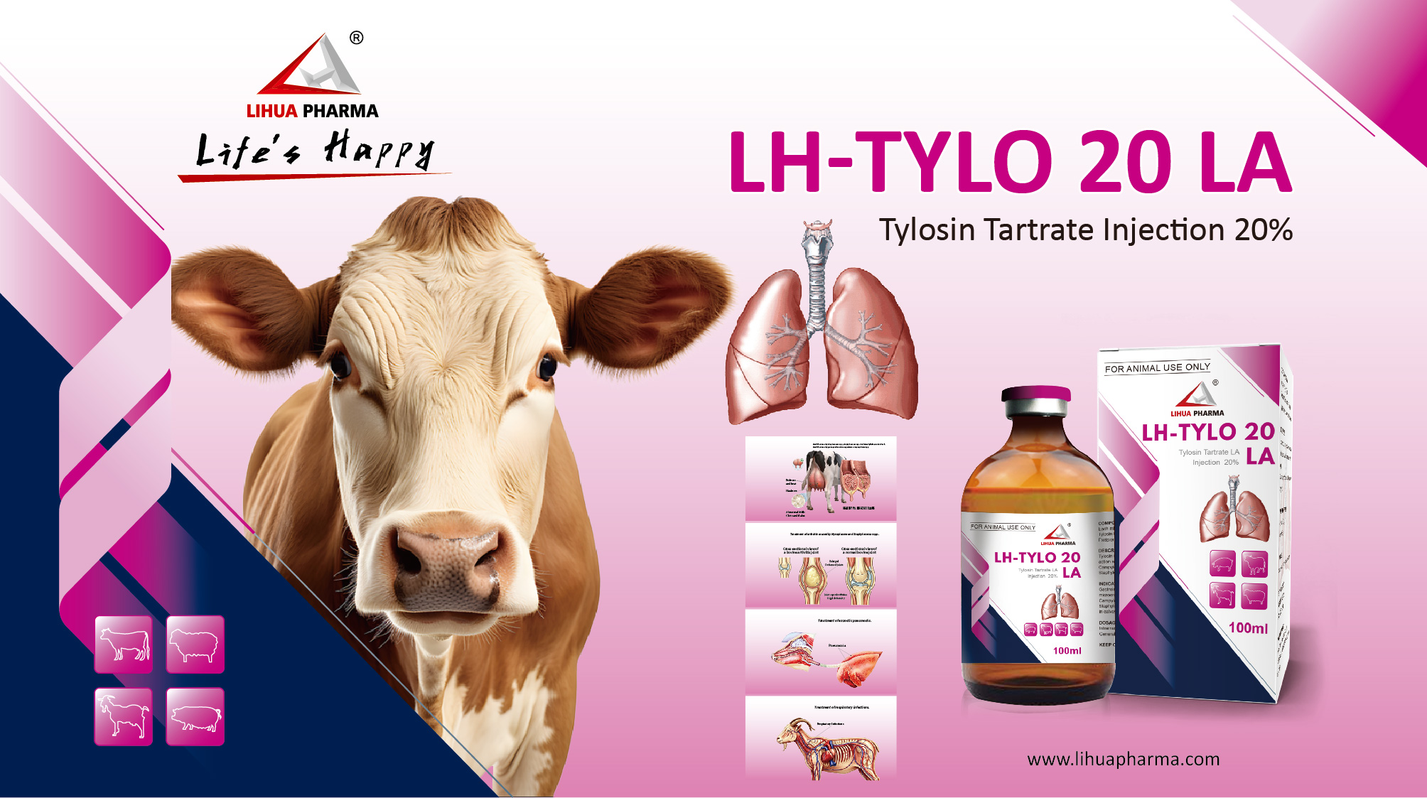 Tylosin Tartrate Injection 20%