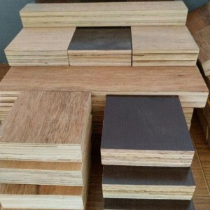 Professional China Black Plywood - 28MM thickness Container Board Plywood – lijun