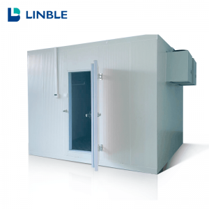 Fixed Competitive Price Polyurethane Cold Room Panels - 20ft Size Cold Room For Fruit And Vegetable –  LINBLE