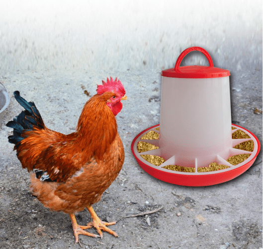 Automatic chicken feeder (1)1333