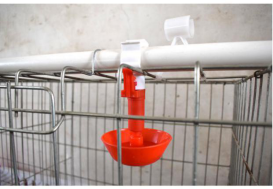 Automatic poultry hanging dip dishes  (1)2076
