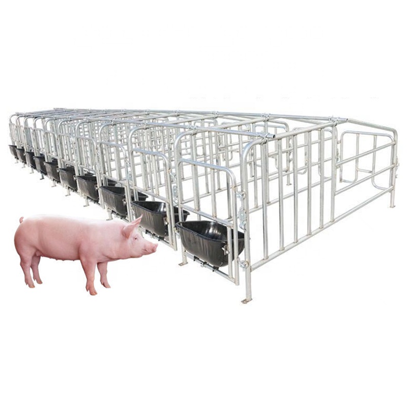 Hot Selling Sow Cage Farrowing Equipment Heavy Pig Gestation Pen HDG Galvanized Pig Stall Crate For Sale
