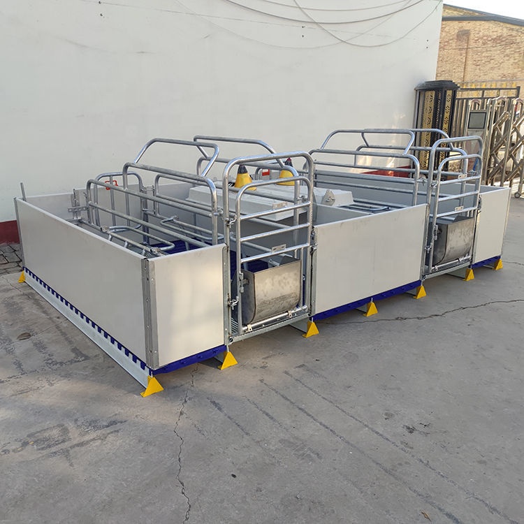 Galvanized Adjustable Long Using Life Used Reversible Double Sows Farrowing Crate European Style Pig Farrow Pen With PVC Fence