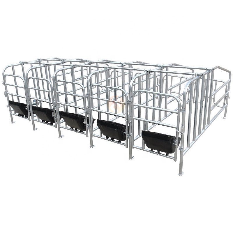 Hot Galvanized Pig Cage Farming Equipment Pig Gestation Stall With Sow Farrowing Crate Limit Positioning Bar