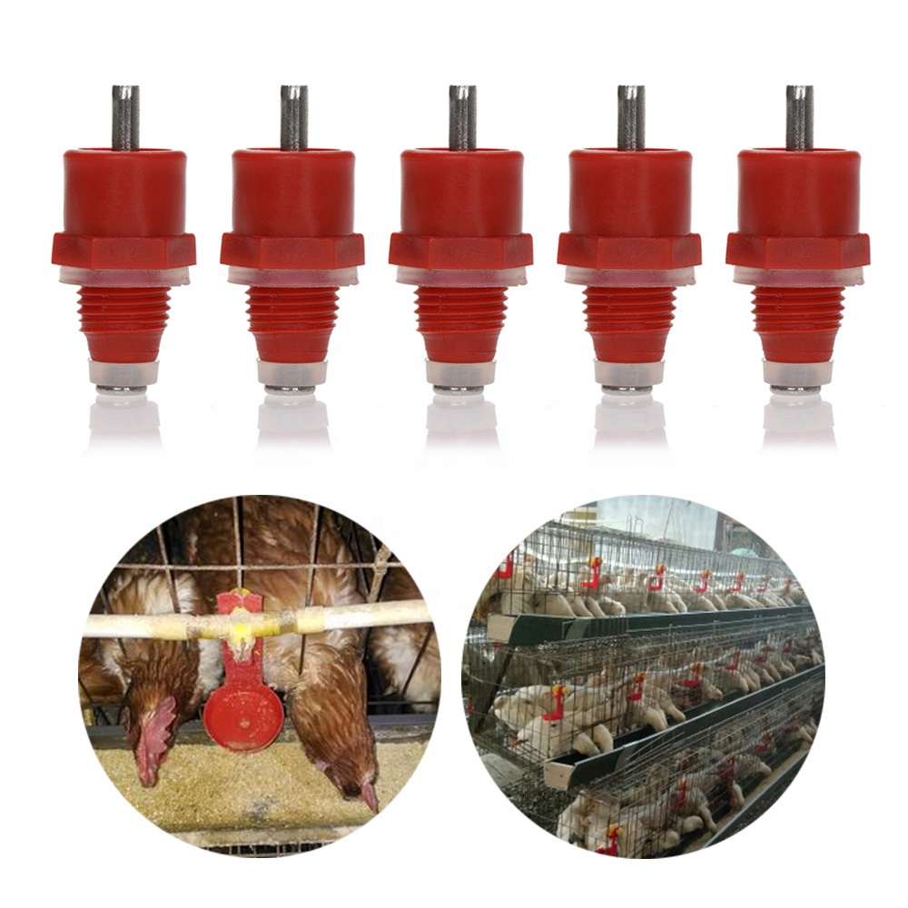 Spring Type Broiler Bird Pigeon Water Pipe Connected Automatic Chicken Water Nipple Drinker for Poultry Farm