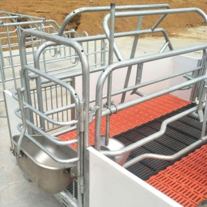 Sow Farrowing Gestation Crate
