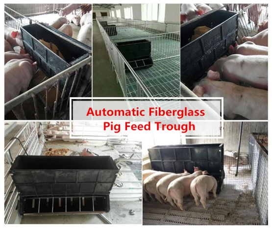 Fiberglass pig growing fatten feeder (1)1709